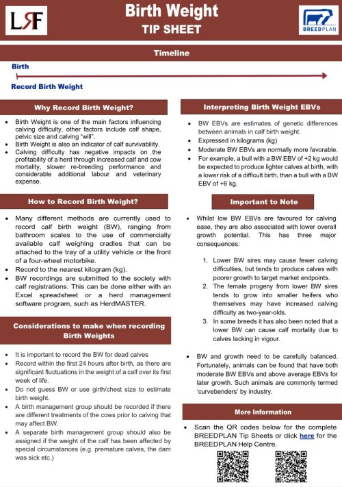 LRF-B birthweight-Tipsheet